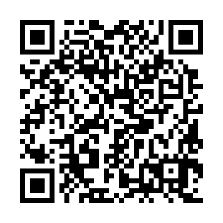 QR code for plate ZNE 387