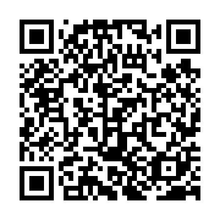QR code for ZNN 601