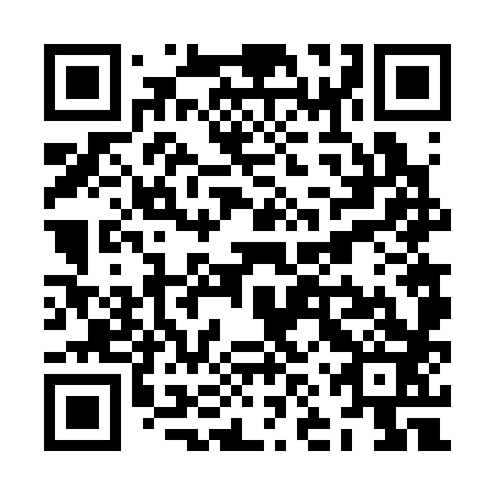 QR code for ZNV383
