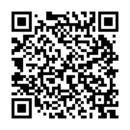 QR code for ZNY290