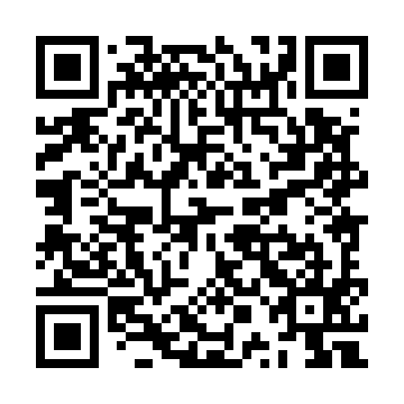 QR code for plate ZPH 595