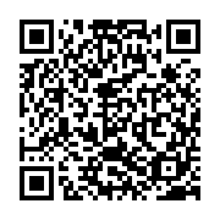 QR code for ZPI950