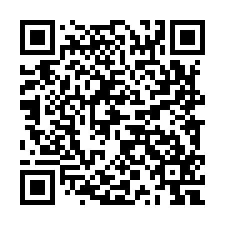 QR code for plate ZPL 917