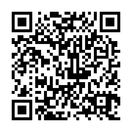QR code for plate ZPN 325