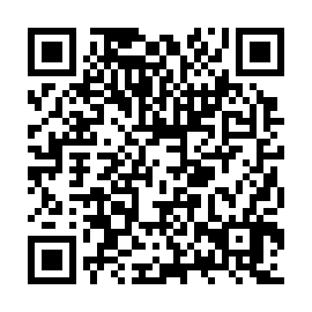 QR code for ZPR306