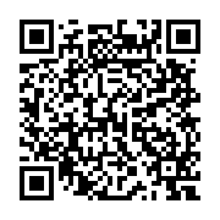 QR code for ZPS 595