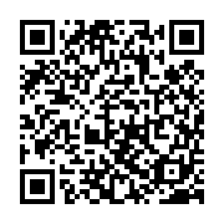QR code for ZPY451
