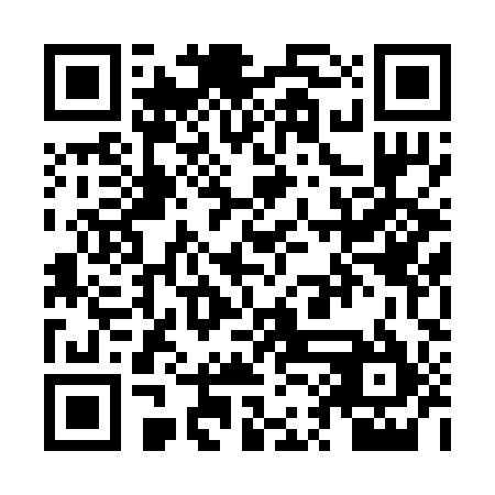 QR code for ZQD 295