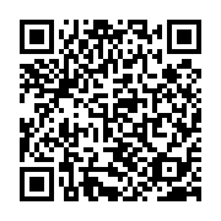 QR code for ZQG519