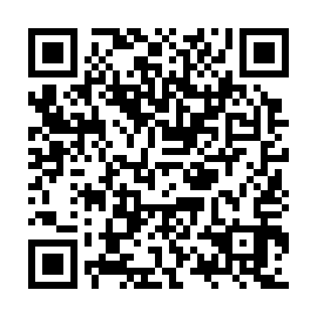 QR code for ZQN 313