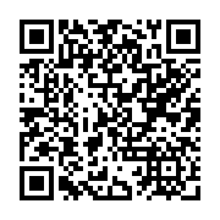 QR code for plate ZRB 387