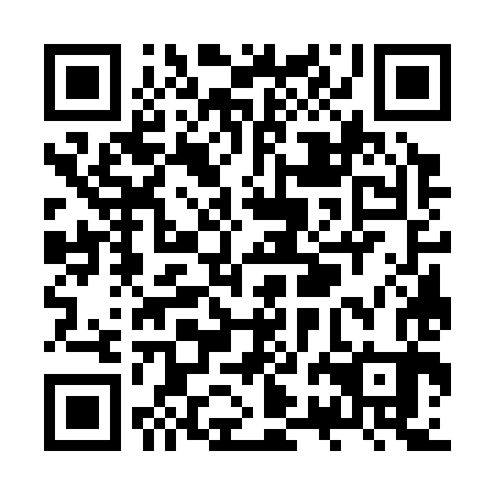 QR code for ZRG 383