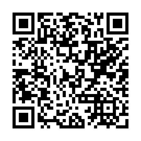 QR code for ZRG919