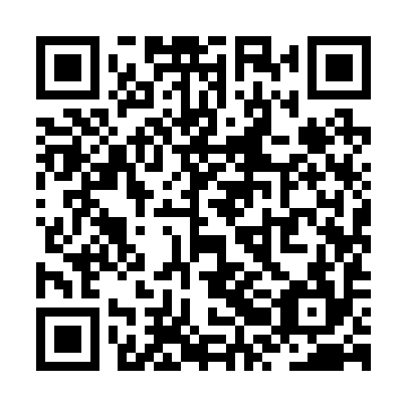 QR code for ZRI 294