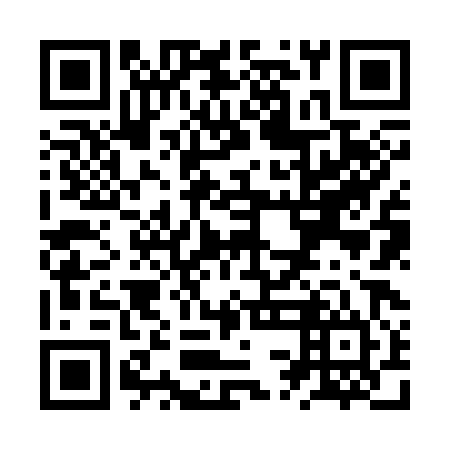 QR code for ZSJ 384