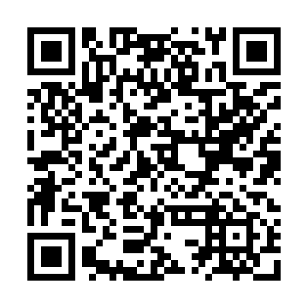 QR code for ZSJ919