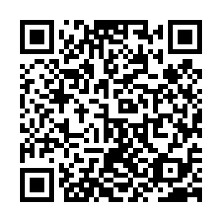 QR code for ZSM 419