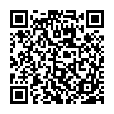 QR code for plate ZSS 863