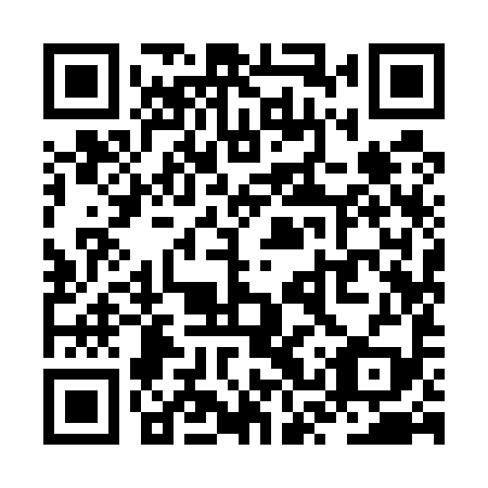 QR code for ZSY 599
