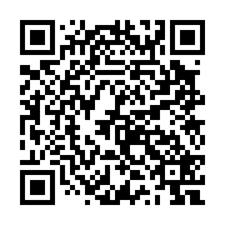 QR code for ZTC 029