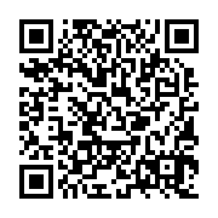 QR code for ZTE 207