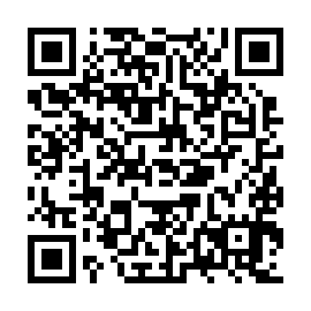 QR code for ZTF295
