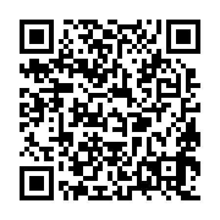 QR code for ZTG 299
