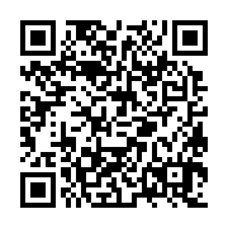 QR code for ZTG 384