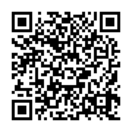 QR code for ZTI938