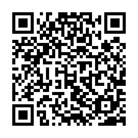QR code for plate ZTL 595