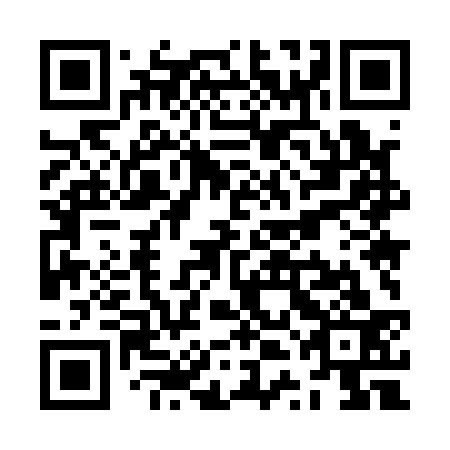 QR code for ZTM 133