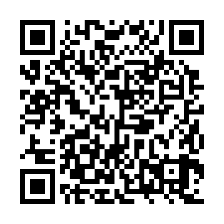 QR code for ZTR 389