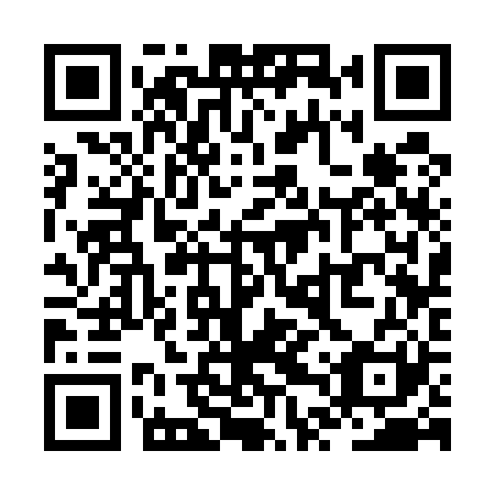 QR code for ZTS521