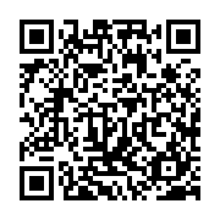QR code for ZTX 924