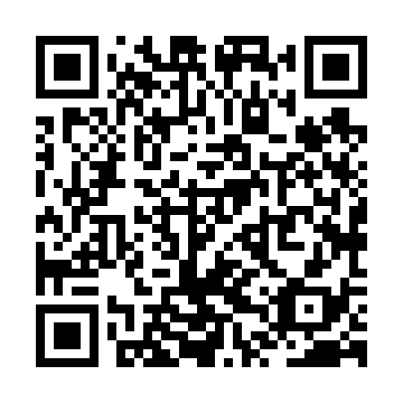 QR code for ZTX638