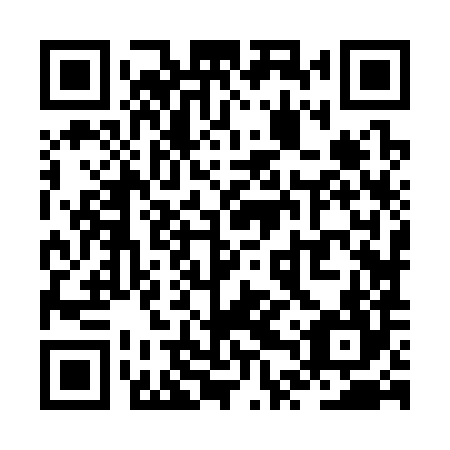 QR code for ZTZ 384