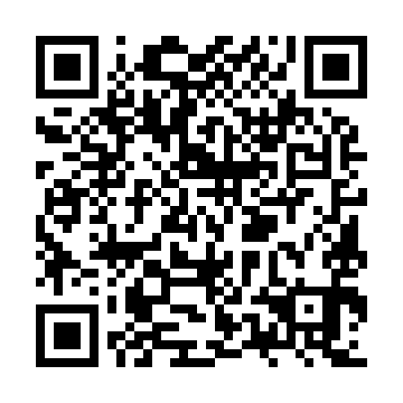 QR code for ZUE 991