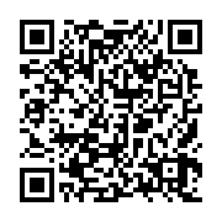 QR code for ZUI 368