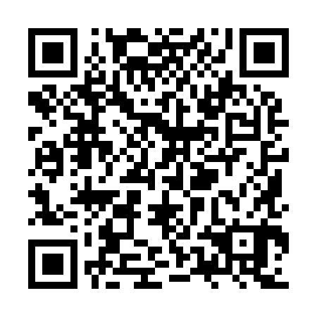 QR code for ZUI 980
