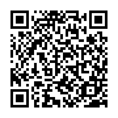QR code for ZUI302