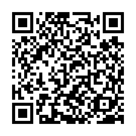 QR code for ZUI669