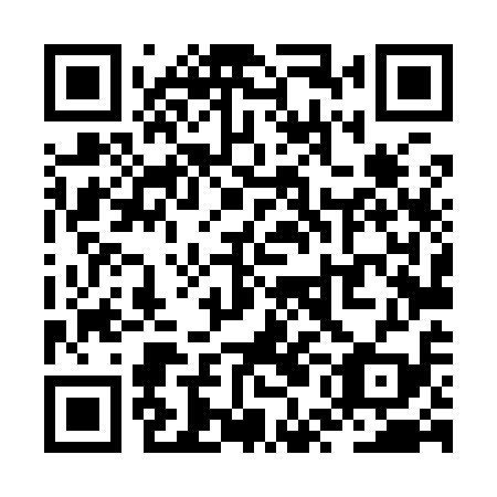 QR code for ZUL 919