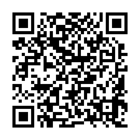 QR code for ZUM 299