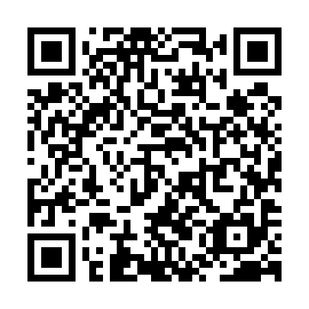 QR code for ZUM595