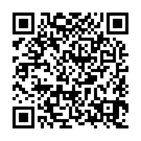 QR code for ZUN 981
