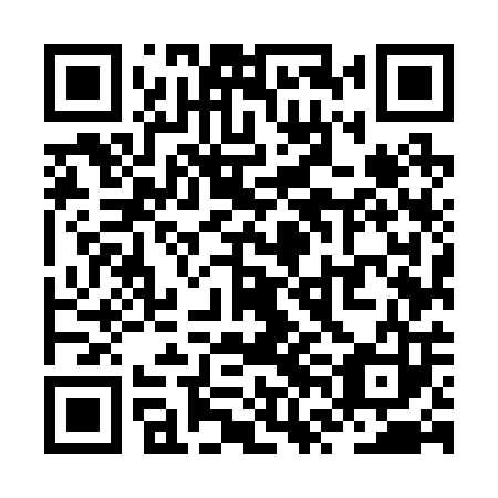 QR code for ZVM 203