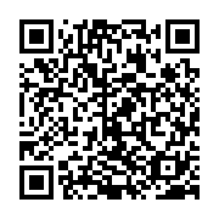 QR code for ZVM371