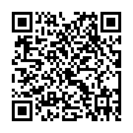 QR code for ZVS 041