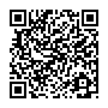 QR code for ZVV 595