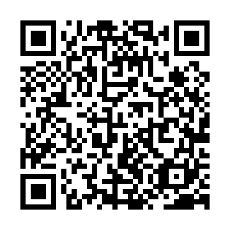 QR code for ZWL161